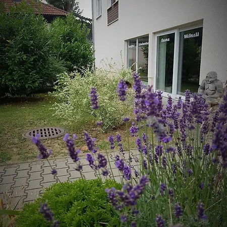 Sumpfmühle Am Tharander Wald