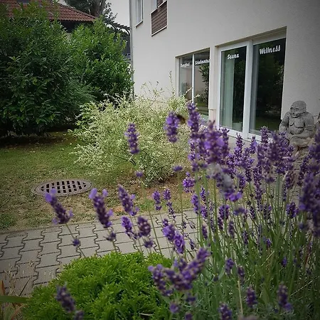 Sumpfmühle Am Tharander Wald