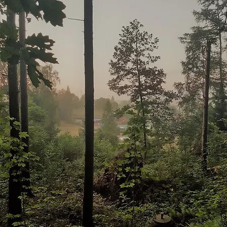 Sumpfmühle Am Tharander Wald Hetzdorf