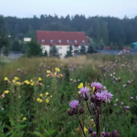 Sumpfmühle Am Tharander Wald Hotel