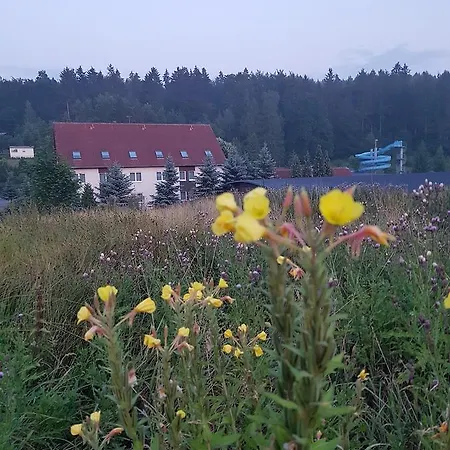Sumpfmühle Am Tharander Wald