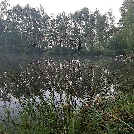 Sumpfmühle Am Tharander Wald Hetzdorf