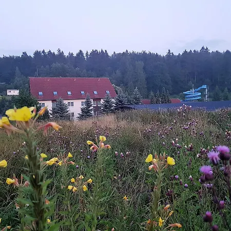 Hotel Sumpfmühle Am Tharander Wald *