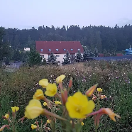 Sumpfmühle Am Tharander Wald Hotel Hetzdorf